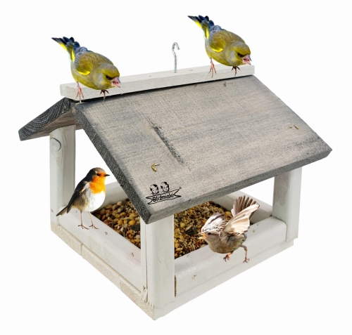 20201205_173918x (1).jpg