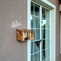 20201007_152422.jpg