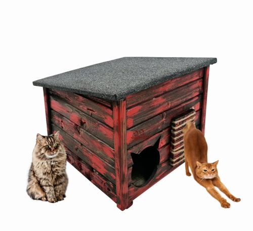 1-20210903_165338 (1).jpg