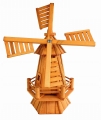 6893.jpg