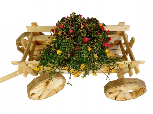 5659.jpg
