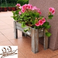 20190610_161646.jpg