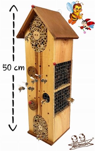 6682.jpg