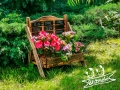 20190827_122906.jpg