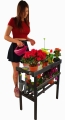 20200508_174955x.jpg