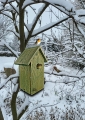 20211210_110611.jpg