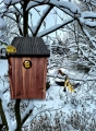 20211210_110611.jpg