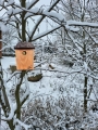 20211210_110611.jpg