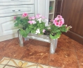 20190607_115358.jpg