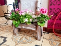 20190607_115544.jpg