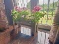 20190607_115649.jpg