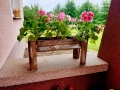 20190607_121618.jpg