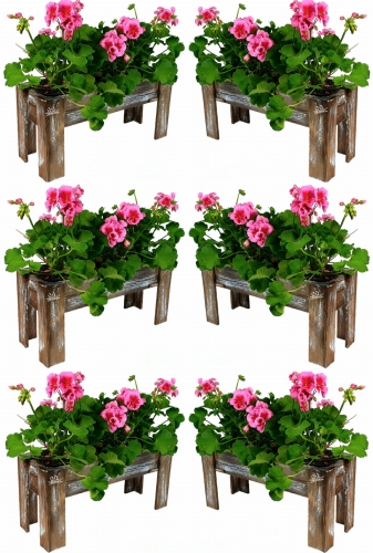 Bez nazwy-2 (3) (1) (1) (1) (1).jpg