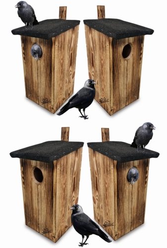 Bez nazwy-2 (5) (1) (4).jpg