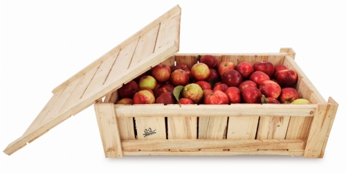 Bez nazwy-2 (5) (3) (1).jpg