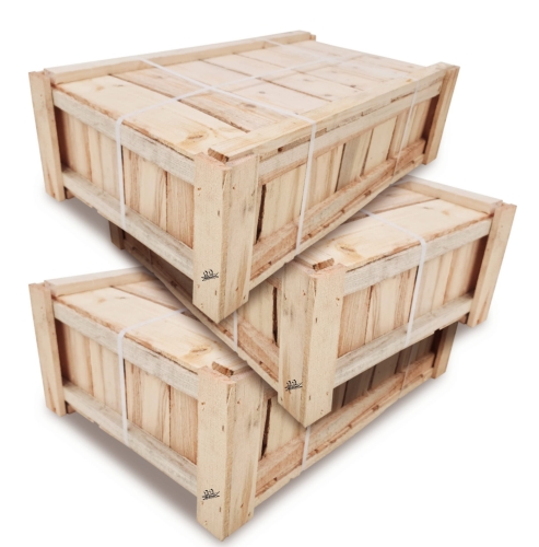 Bez nazwy-2 (4) (1) (1) (1) (2) (1) (1).jpg