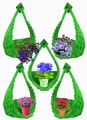 Polish_20230419_214355717.jpg