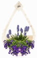 Polish_20230421_131213310.jpg