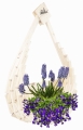 Polish_20230421_131155501.jpg