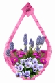 Polish_20230424_155421616.jpg