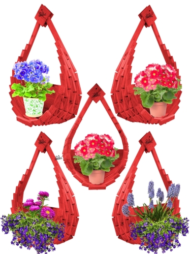 Polish_20230428_162328049.jpg