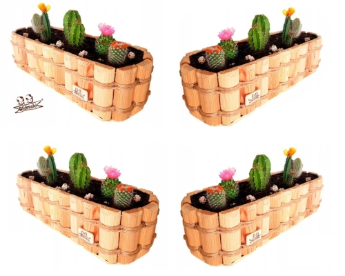 DWBS1 x 4.jpg