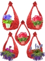 Polish_20230428_162328049.jpg