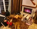 20201224_183552.jpg