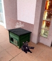 20200806_132729.jpg