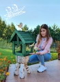 d00bd217438d96ee04df04170605