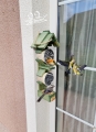 20201105_163657.jpg