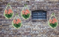 HL,HG.,UJ,LG,.jpg