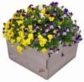 HNFGHFGHDFH.jpg