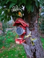 20201020_104812.jpg