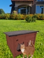 DOMEK DLA KOTA DOMKOT2 O BLIZNIAKI 52 x 52 x 42 w rzeydomowym ogrodzie.jpg
