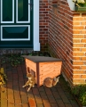 TYUTYUTUY.jpg