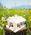JTSYJT.jpg