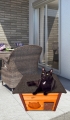 TDURTURS6UR.jpg