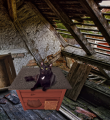 FGJFJF.png