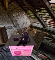 TU6TYURTDUTY.jpg