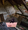 T6U56U56U5U.png