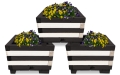 6796r796r79.jpg