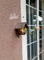 aa8732154f80bee065d781042ccf