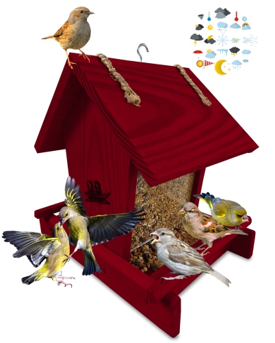 InCollage_20260113_133248768.jpg