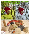 InCollage_20260114_171423738.jpg