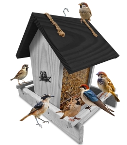 Karmnik sosnowy ekologiczny na parapet dozownik z szybką na ziarno K29  SNP CZ