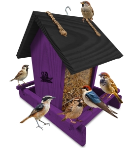 Mały karmnik na okno dla dzikich ptaków otwierany daszek kolor fioletowy K29 FN CZ