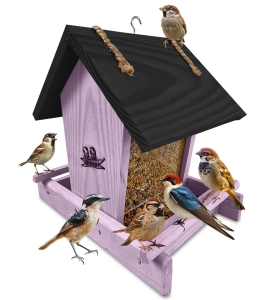 Prosty karmnik dla ptaków dekoracyjny do ogrodu szklany dozownik K29 FNP CZ