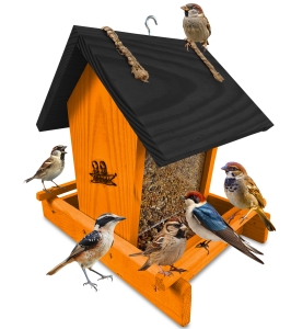 Prosty karmnik drewniany szklany dozownik na karmę słonecznik kolor pomarańczowy K29 B CZ