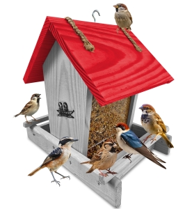 Karmnik dla ptaków z drewna dozownik z szybką na karmę na wróbli dla dzwońców do ogrodu na zimę K29 SNP CB